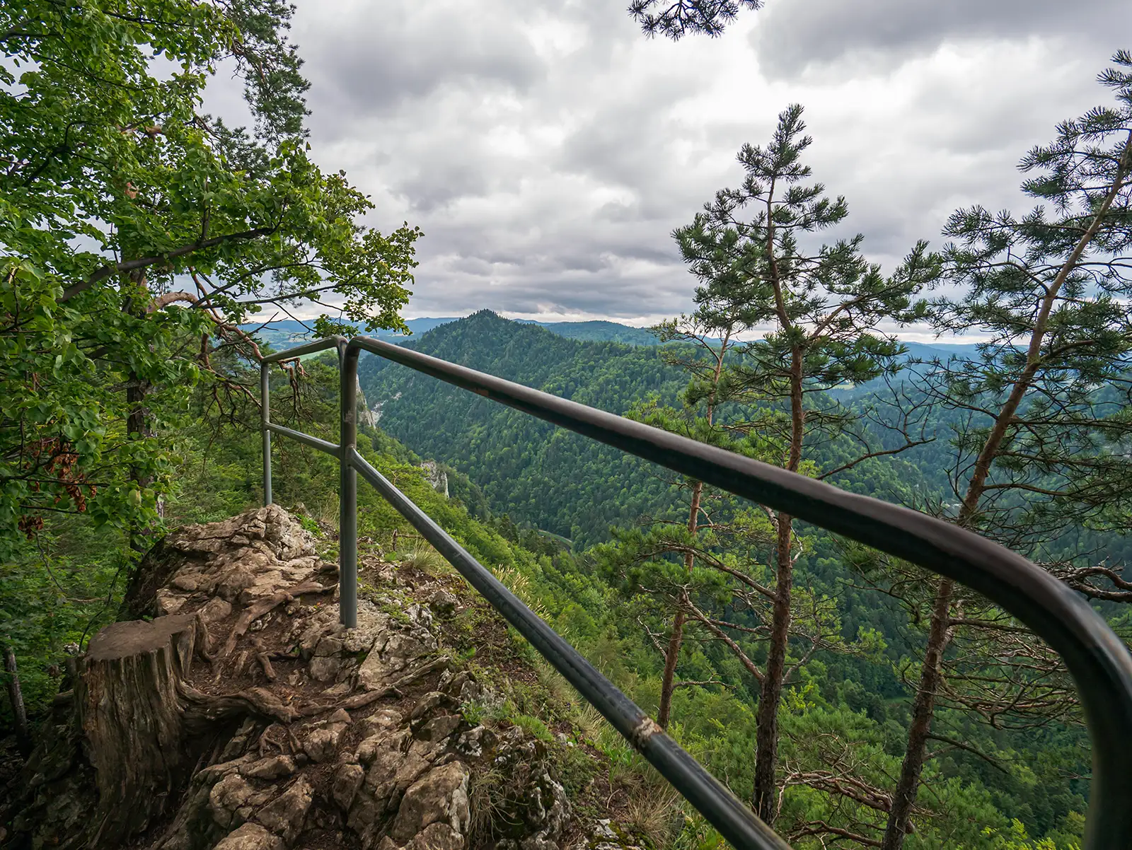 czertez-pieniny-punkt-widokowy-poreczfa-szlak Zabezpieczony poręczą punkt widokowy na szczycie Czerteż w Pieninach z panoramą górskich lasów